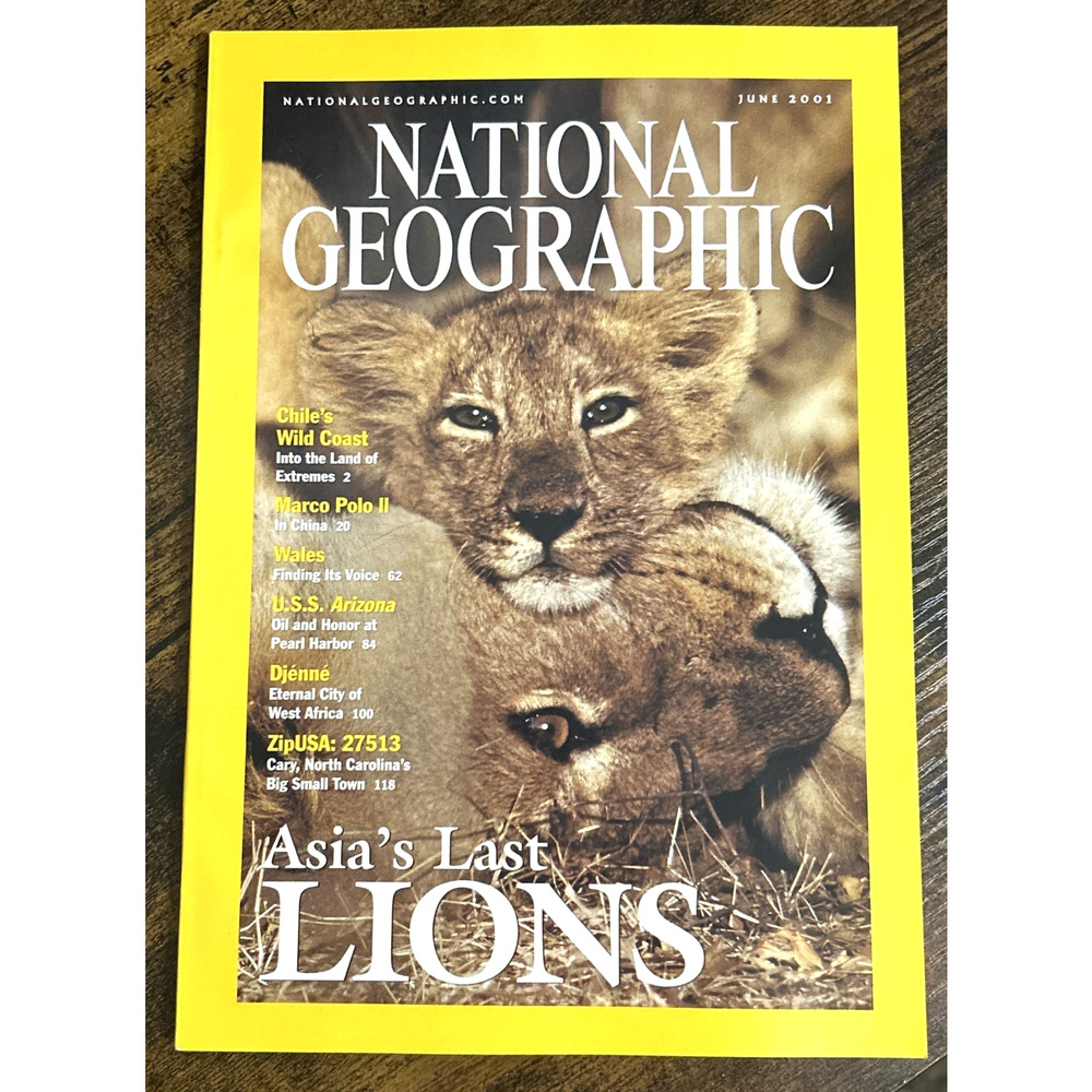 National Geographic Magazine June 2001 Asia Last Lions USS Arizona Marco Polo II